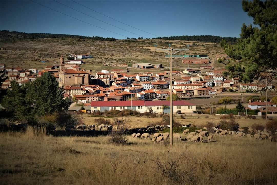 Hostal Restaurante San Millan 奥里韦拉德尔特雷梅达尔 外观 照片